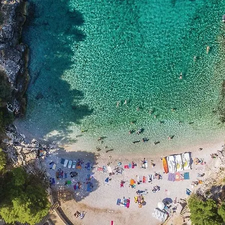 Διαμέρισμα 1 Πούλα