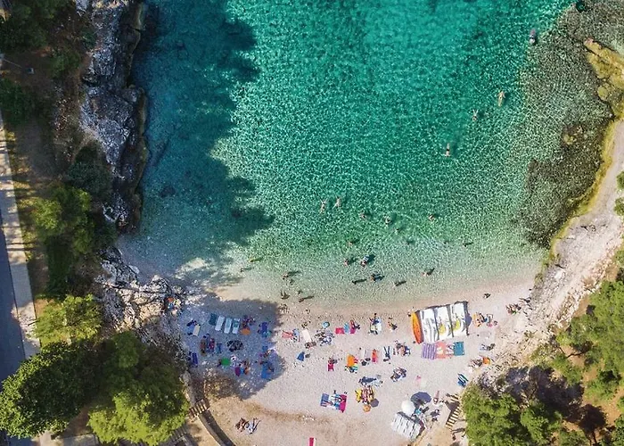 Διαμέρισμα 1 Πούλα